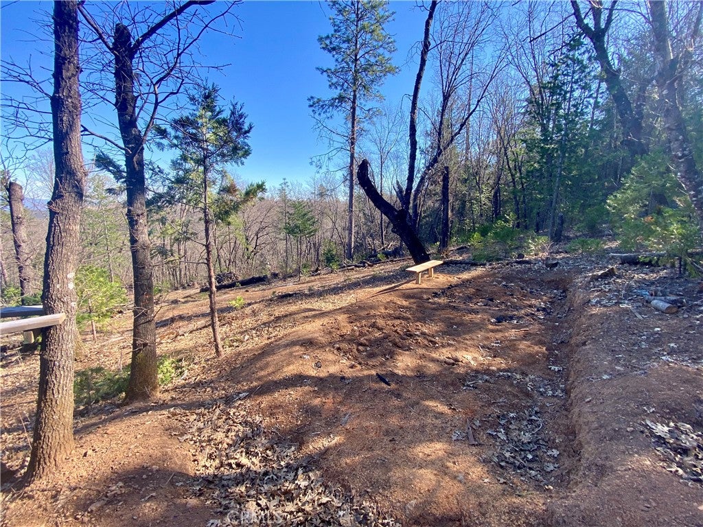 10130 Seigler Springs North