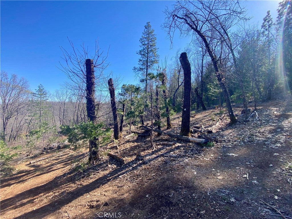 10130 Seigler Springs North