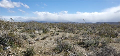 Photo of 0 Vac/Vic, Pearblossom, CA 93553 (MLS # CV26175124)