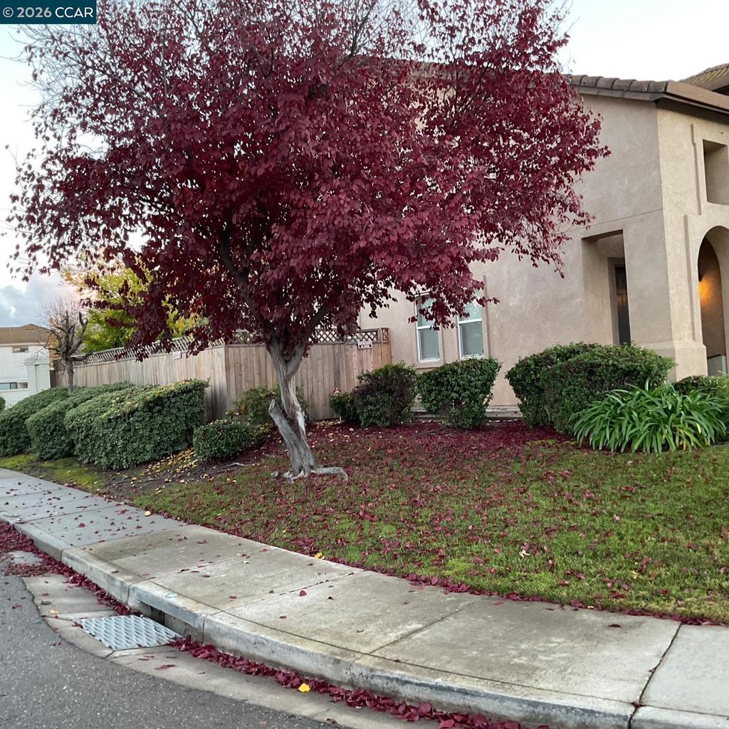 2096 Goldpine Way