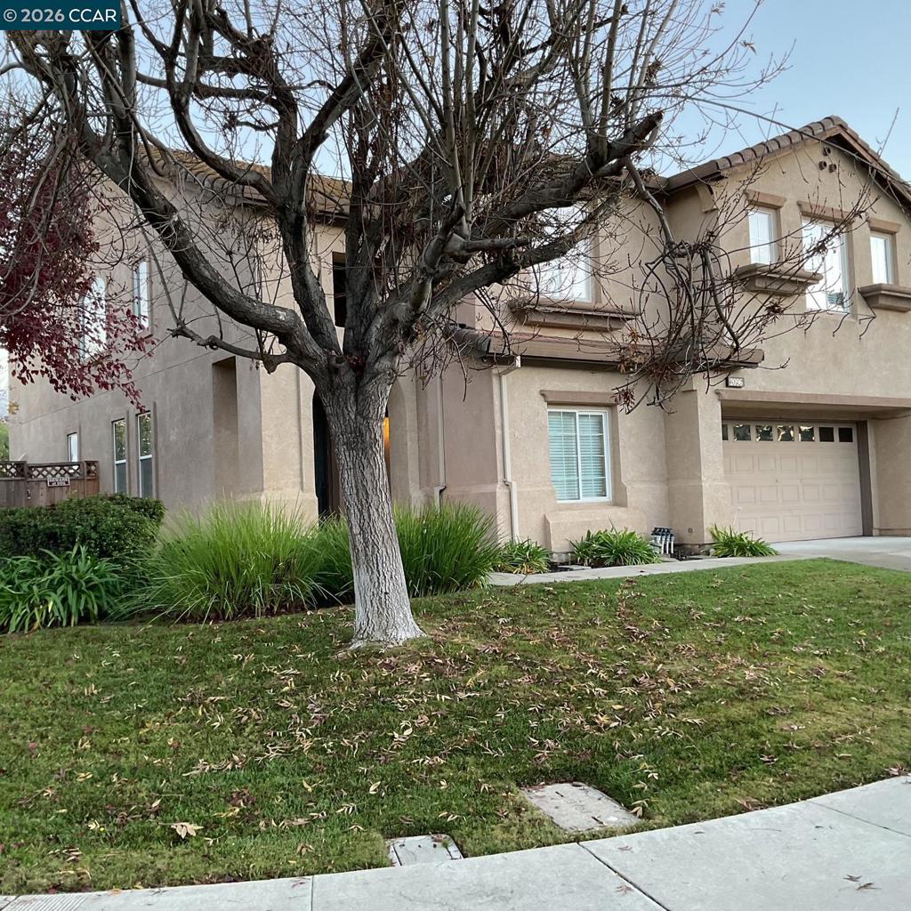 2096 Goldpine Way