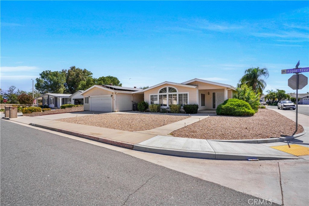 2525 Apple Tree