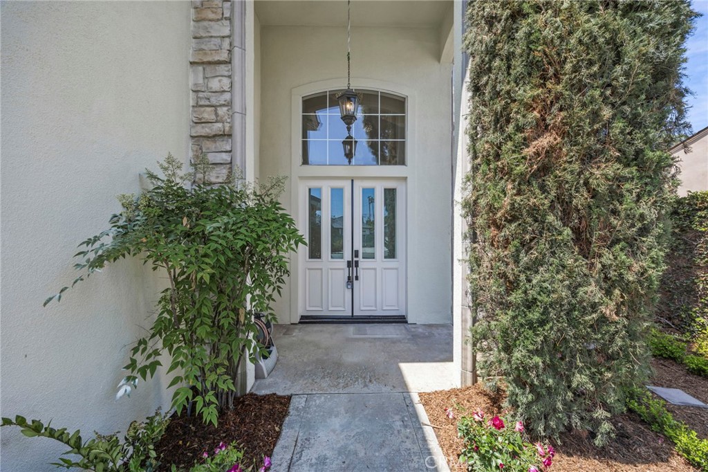 315 San Antonio Road