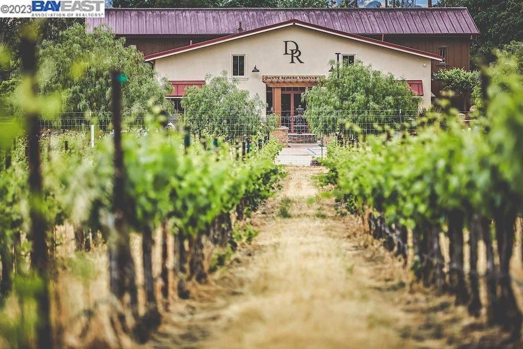 Dante Robere Vineyards boasts one of the most sensational and picturesque winery settings in the Livermore Valley Wine Country. Producing Estate grown wines, with 6.5 acres of lush vineyards that grow top notch terroir-driven Syrah grapes that practically make themselves into award winning wines. The estate vineyard produces 18 to 24 tons of Syrah per season with wine making capacity of 3,000 to 4,000 cases per year on site. A wine club with almost 1,000 members that produces reoccurring revenue every quarter. (The winery is very profitable!) Ideally located directly across from the Sycamore Grove Regional Park trailhead, boasting views and lots of foot & car traffic. The rustic contemporary tasting room & 4140 sqft bldg is only 8 years old and thoughtfully designed with a huge welcoming U shaped bar, two covered patios, private tasting room, kitchen, lawns, and fragrant grounds, lending a relaxed but luxurious experience for visitors here to enjoy the wine, a concert, or private event. The venue can comfortably handle up to 300 guests. The Syrah vines (the most prestigious of the Rhone varietals) are 20 years old making them "old vines", producing deeply colored, rich, bold, complex fruit that practically makes itself into award winning wines. Don't let this get away!