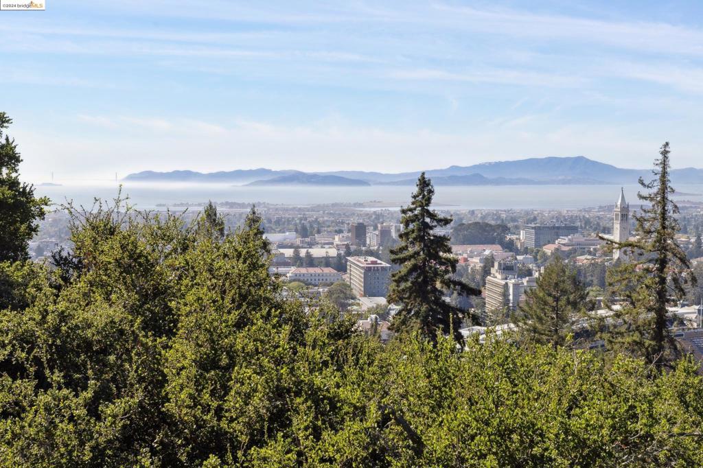 BERKELEY HILLS - Residential