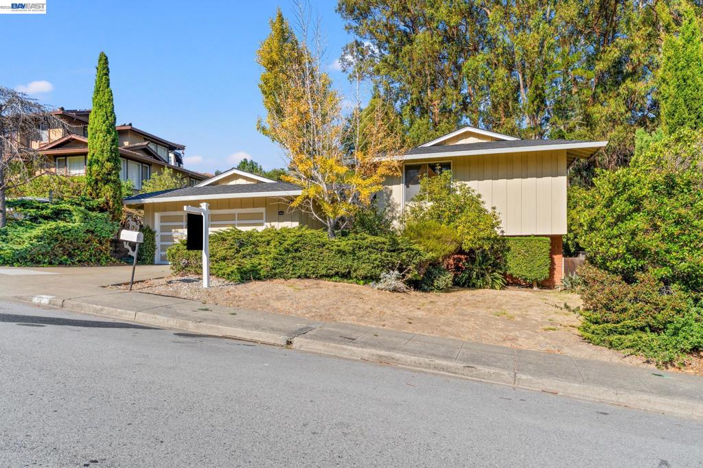 1350 Murchison Dr