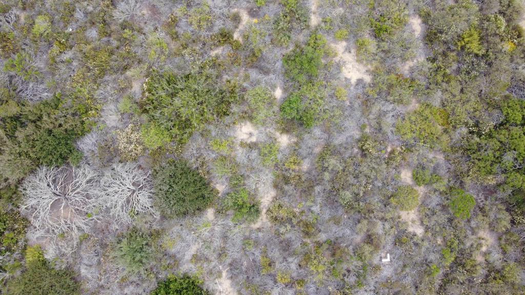 Carmel Valley - Land