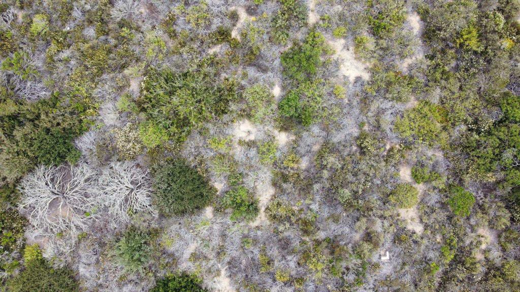 Carmel Valley - Land