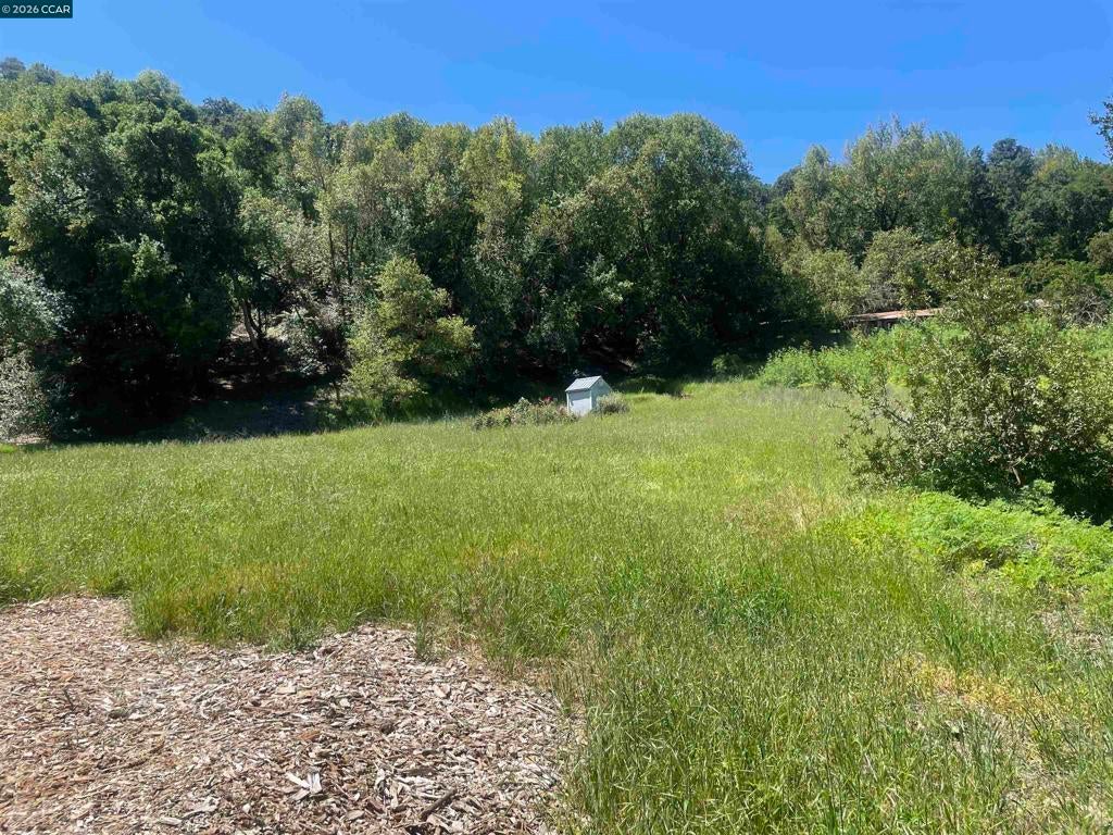 1180 Bear Creek Rd