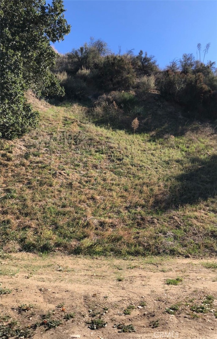 Custom Val Verde (CVVER) - Land