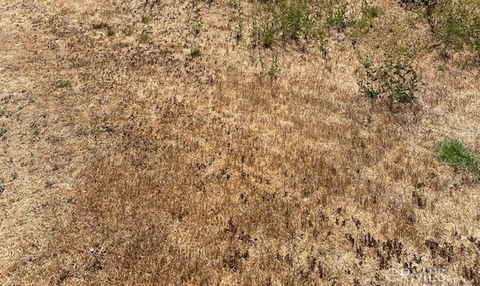 Photo of 0 Walnut Street, Hesperia, CA 92345 (MLS # PW26024868)