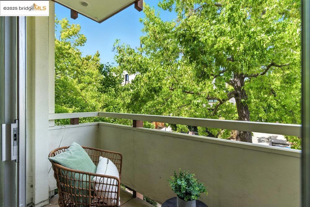 ELMWOOD - Residential