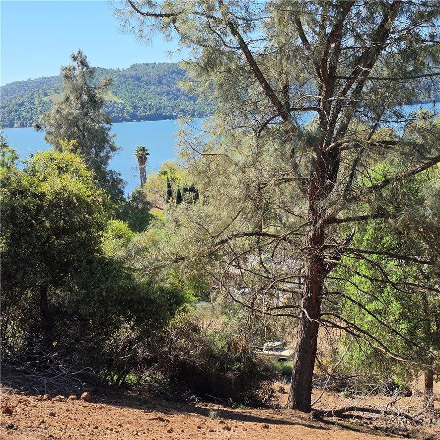 13477 Arrowhead Road