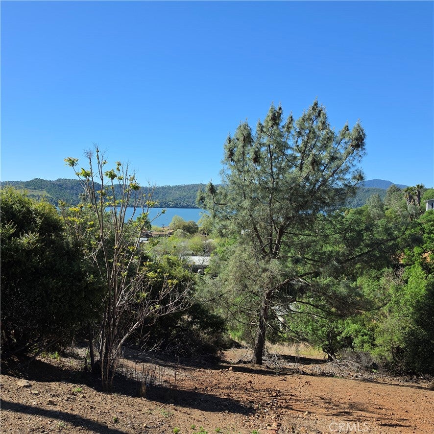 13477 Arrowhead Road