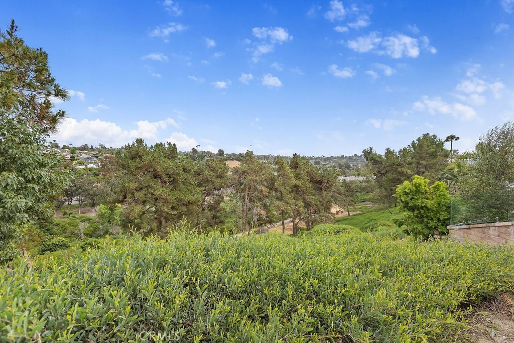 24892 Golden Vista, Laguna Niguel CA 92677 - Photo 29