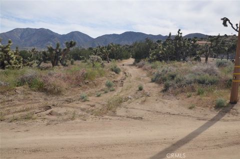 Photo of 0 Longview x Old Homestead, Juniper Hills, CA 93553 (MLS # SR26050622)