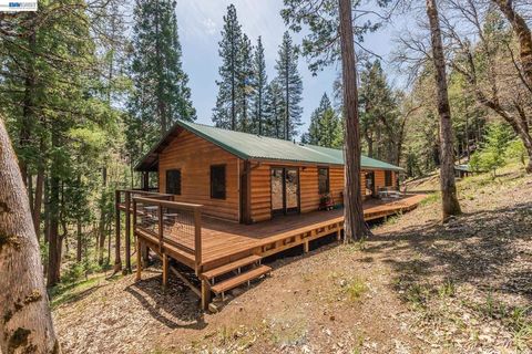 Photo of 4298 Little Browns Creek Rd Rd, Weaverville, CA 96093 (MLS # 41118941)