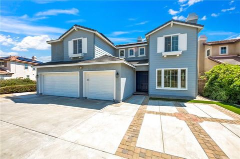 8 Via Del Fico Court Lake Elsinore CA 92532