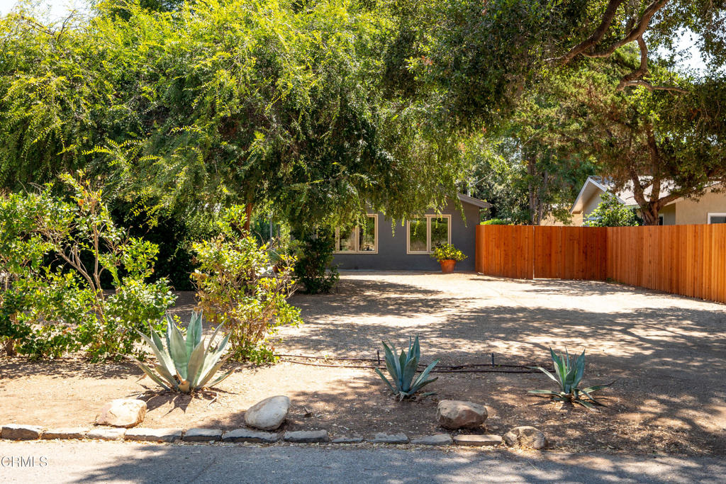 908 Tico Road