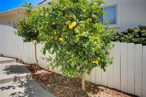 Tiny photo for 261 Coral Court, Pismo Beach, CA 93449 (MLS # PI26166328)