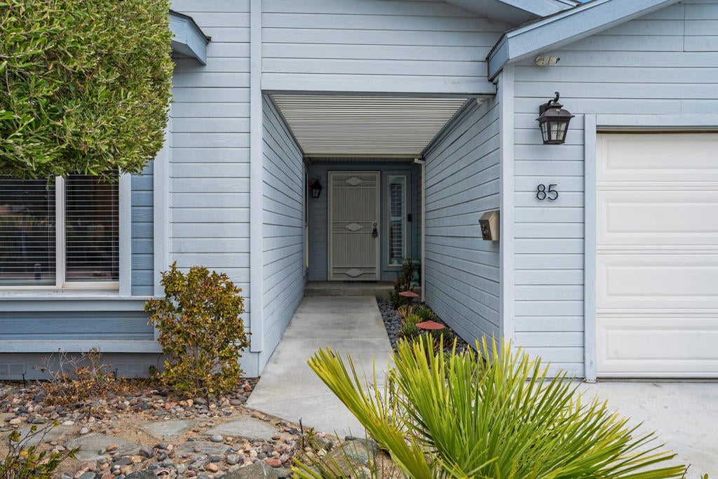 15300 Palm Drive 85
