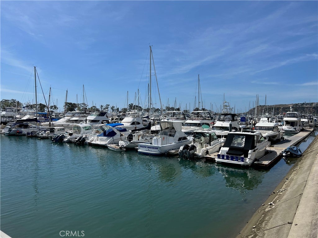 35697 Beach Road, Dana Point CA 92624 - Photo 62