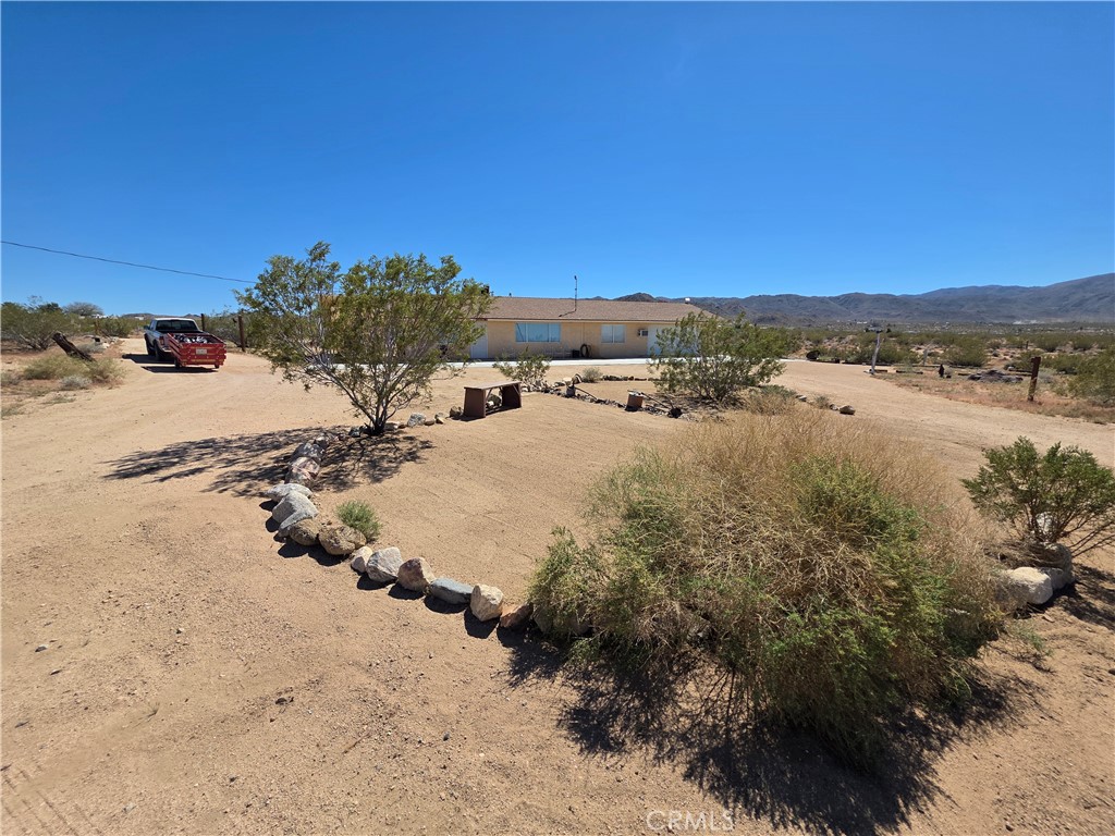 51063 Joshua Tree