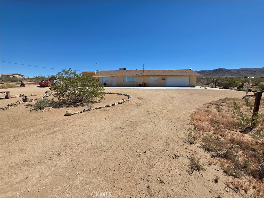 51063 Joshua Tree