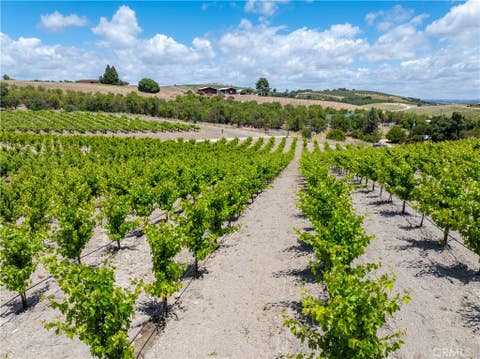 Tiny photo for 1618 Kiler Canyon RD, Paso Robles, CA 93446 (MLS # NS26118168)