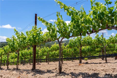 Tiny photo for 1618 Kiler Canyon RD, Paso Robles, CA 93446 (MLS # NS26118168)