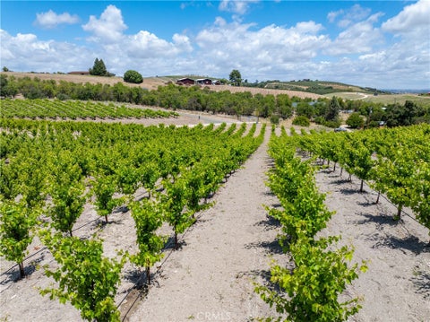 Tiny photo for 1618 Kiler Canyon RD, Paso Robles, CA 93446 (MLS # NS26118168)