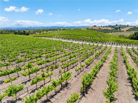 Tiny photo for 1618 Kiler Canyon RD, Paso Robles, CA 93446 (MLS # NS26118168)