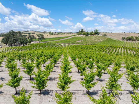 Tiny photo for 1618 Kiler Canyon RD, Paso Robles, CA 93446 (MLS # NS26118168)