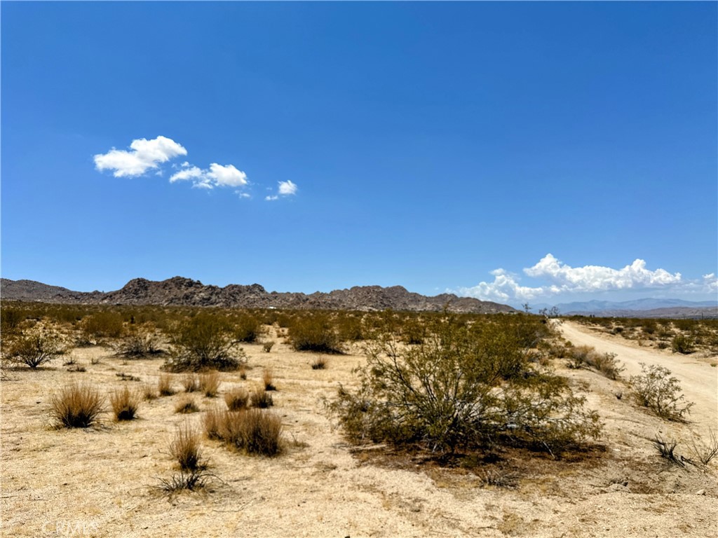5 stunning acres to create your dream desert home! 360 degree panoramic views. Corner lot. Good dirt road to access, power and water accessible. Down the street from Joshua Tree National Park boundary. Short drive to downtown Joshua Tree shops, attractions and amenities. Discover why Panorama Heights is the location to be! GPS: (34.1274209, -116.2476414) APN: 0607-021-13-0000