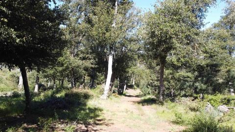 0 Toyon Mountain Ln Julian CA 92036