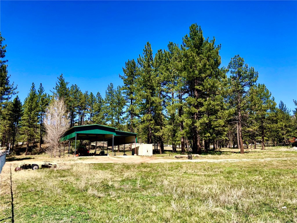 Thomas Mountain (32610) - Land