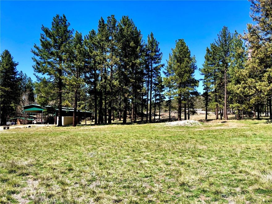 Welcome home to beautiful Garner Valley, one of southern California's best kept secret mountain communities. This gorgeous vacant lot comes with everything even the most discerning buyer will desire in a future residence. From the 30+ mature pine trees to the 2+ acres of flat meadow to the gorgeous views of the valley and the serene atmosphere. Water is connected, electric, phone and high speed internet are at the street. The Garner Valley community features over 20 miles of horse trails/hiking trails and is located close to the Pacific Coast Trail and minutes from the Lake Hemet recreational area. This prime lot location is perfect for anyone looking to build their dream home and to get away from the city life while still being driving distance from major cities. Conveniently located 45 minutes from Temecula, 15 minutes from Idyllwild and 30 minutes from Palm Desert. Completely fenced in and includes an approximately 60'x40' covered metal open storage building.