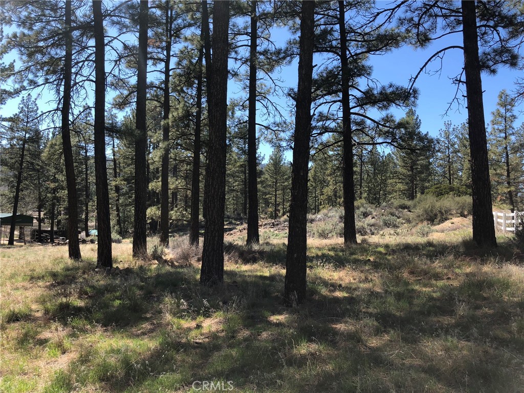 Thomas Mountain (32610) - Land