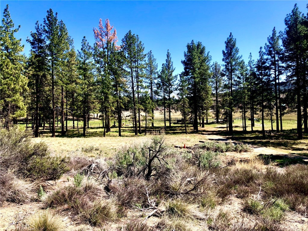 Thomas Mountain (32610) - Land