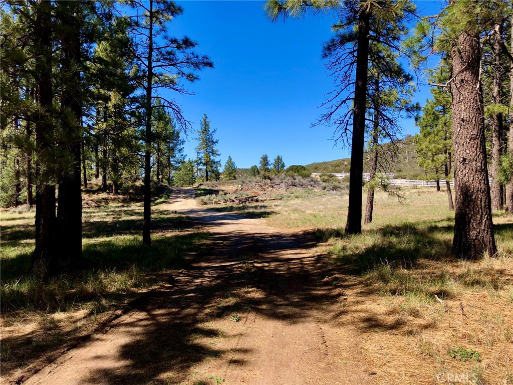 Thomas Mountain (32610) - Land