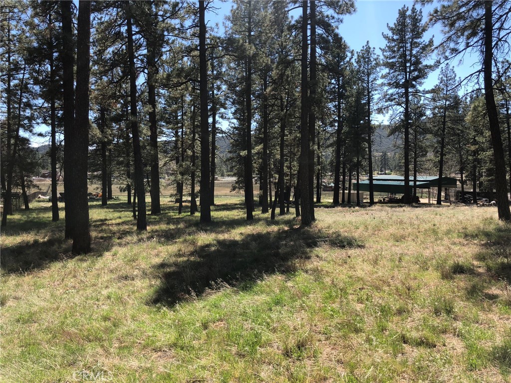 Thomas Mountain (32610) - Land