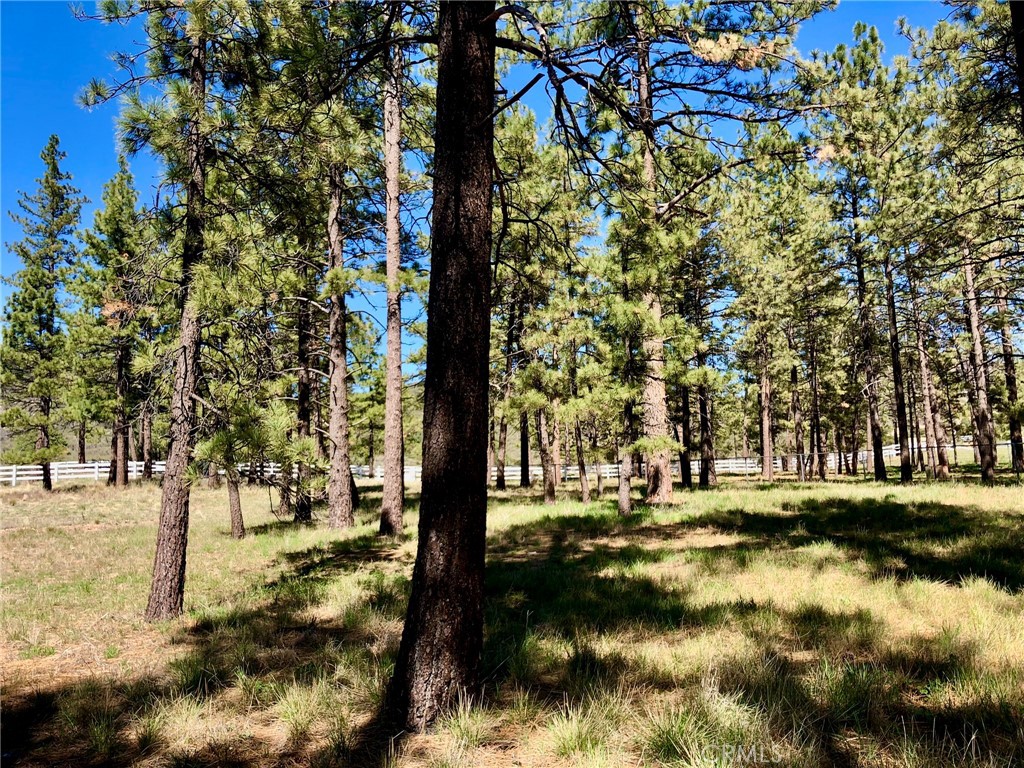 Thomas Mountain (32610) - Land