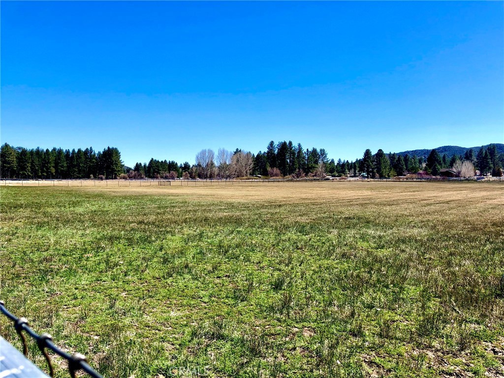 Thomas Mountain (32610) - Land