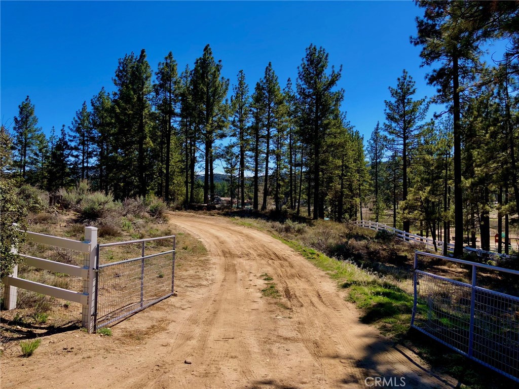 Thomas Mountain (32610) - Land