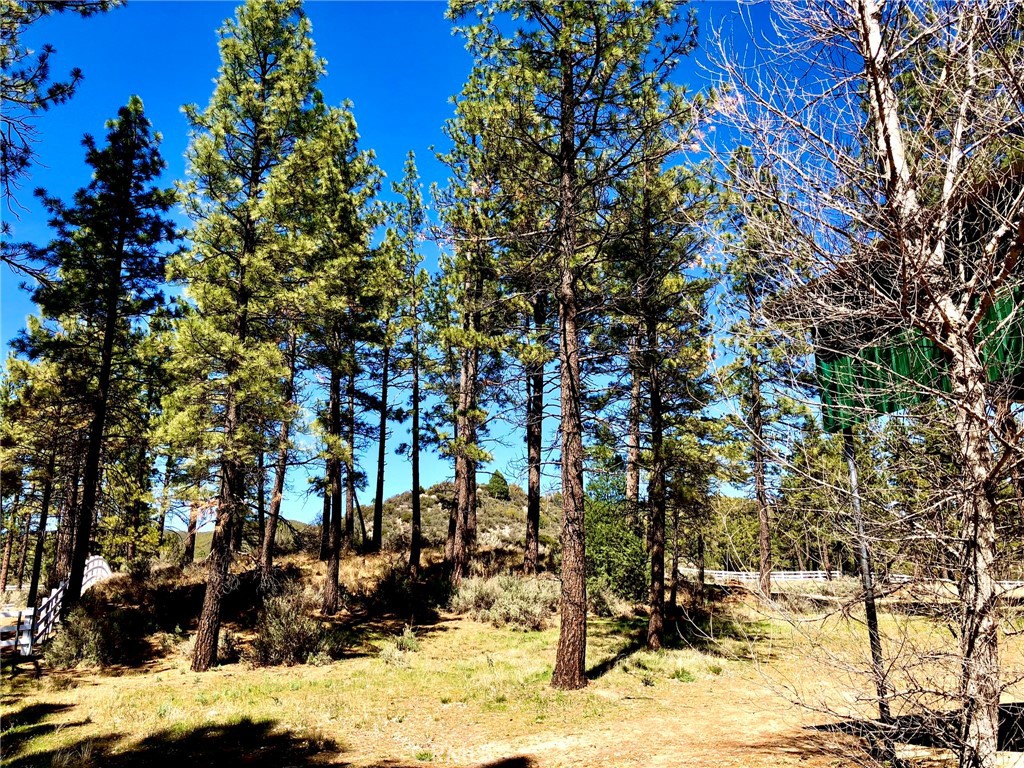 Thomas Mountain (32610) - Land