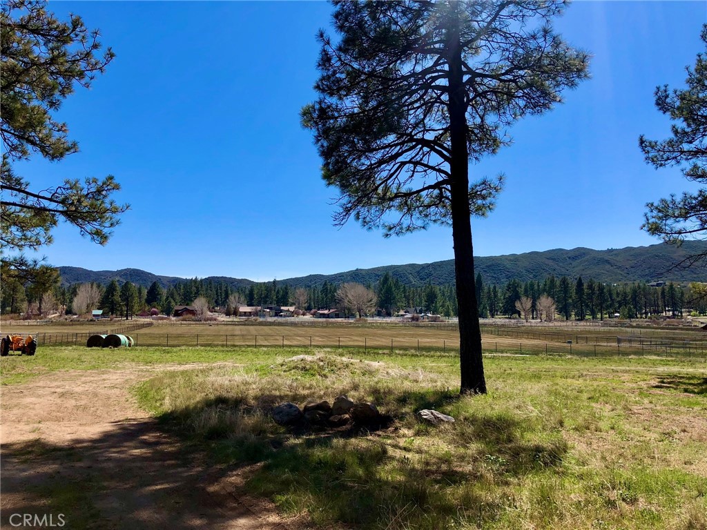 Thomas Mountain (32610) - Land