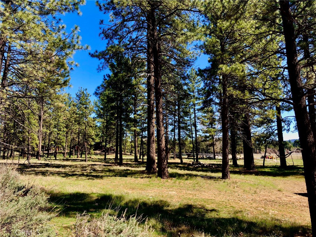 Thomas Mountain (32610) - Land