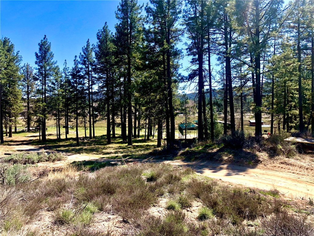 Thomas Mountain (32610) - Land