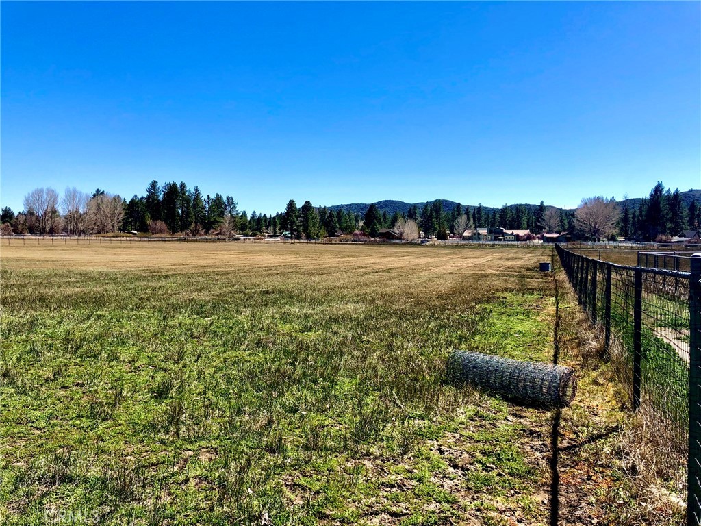 Thomas Mountain (32610) - Land