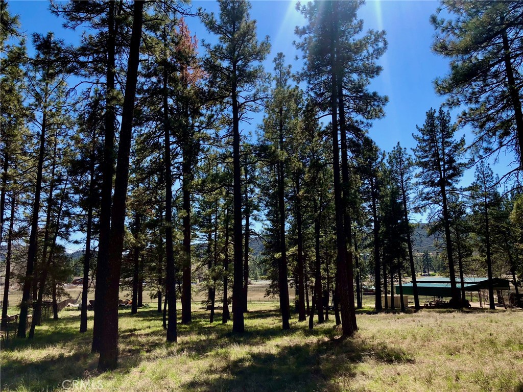 Thomas Mountain (32610) - Land